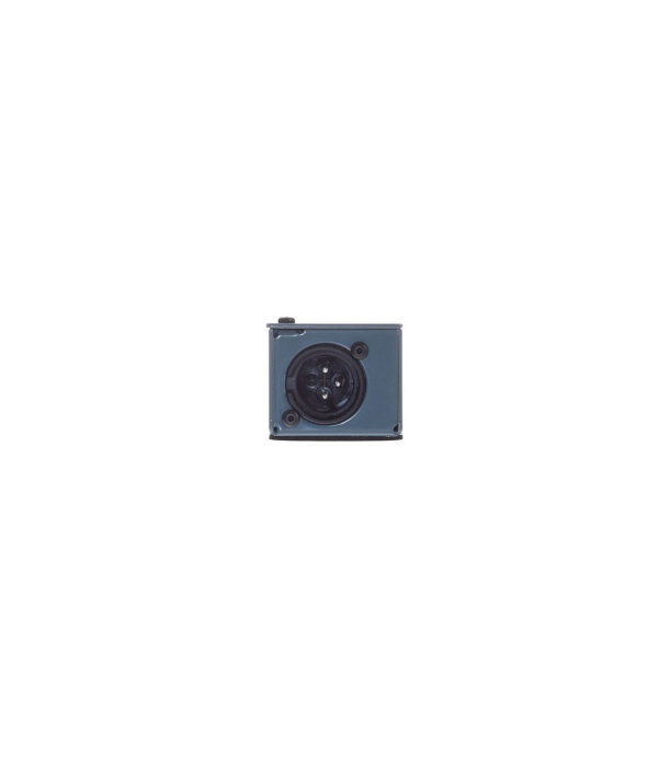 Radial Engineering IC-1 IceCube [6]