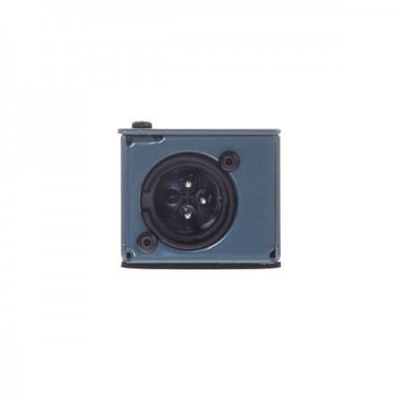 Radial Engineering IC-1 IceCube [2]