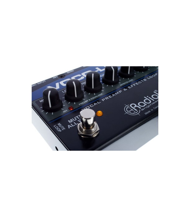 Radial Engineering Vocoloco [8]