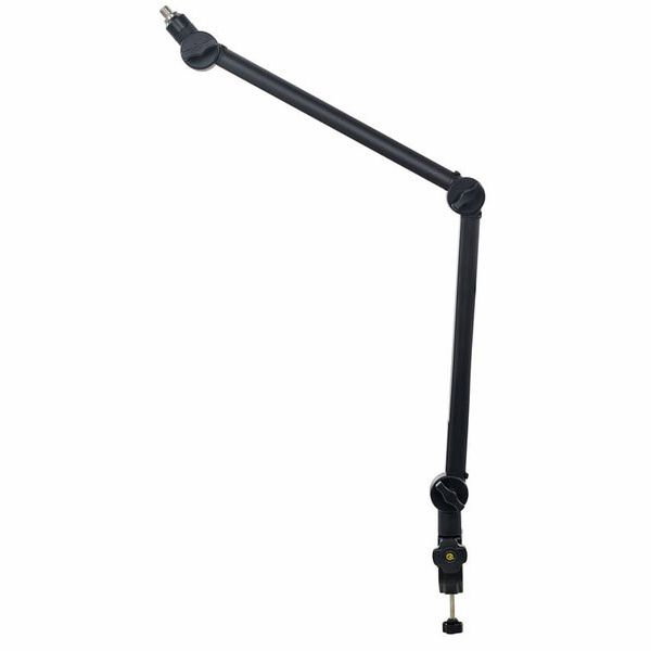 Roadworx Microphone Arm [4]