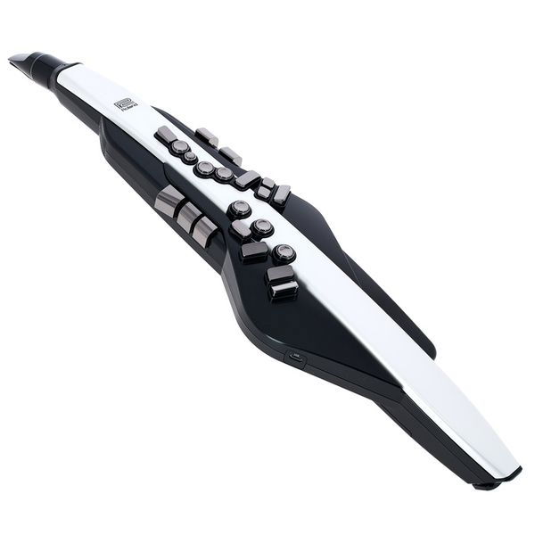 Roland Aerophone AE-20 [6]