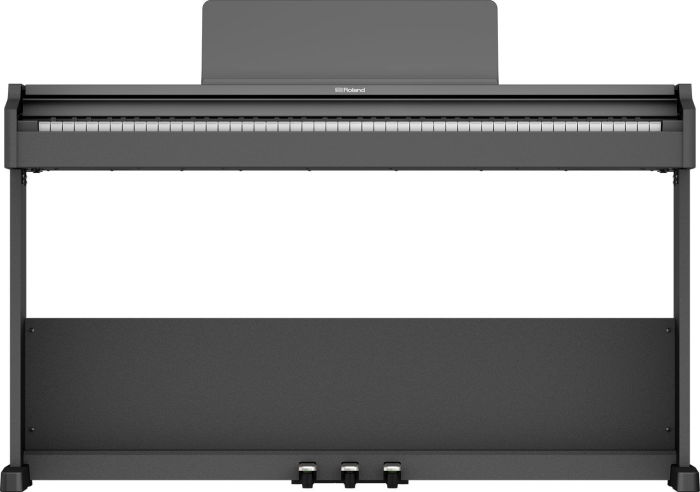 Roland RP-107 BKX [8]