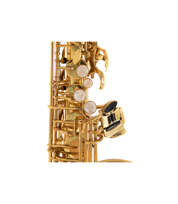 Roy Benson AS-201 Sax Alto [5]