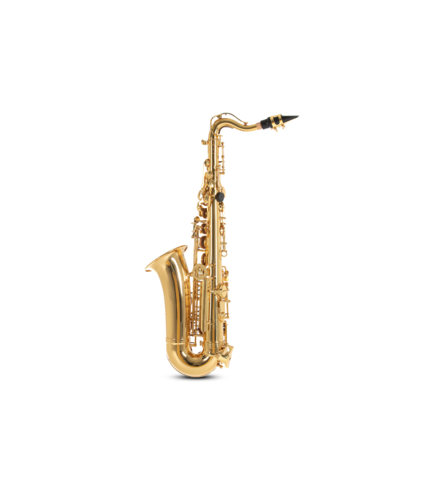 Roy Benson AS-201 Sax Alto [9]