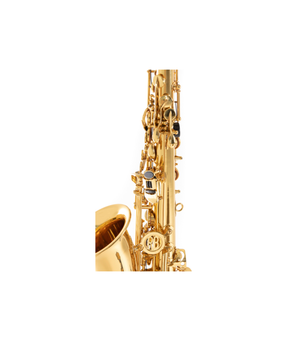 Roy Benson AS-201 Sax Alto [2]