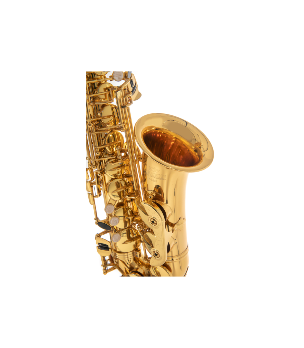 Roy Benson AS-201 Sax Alto [3]
