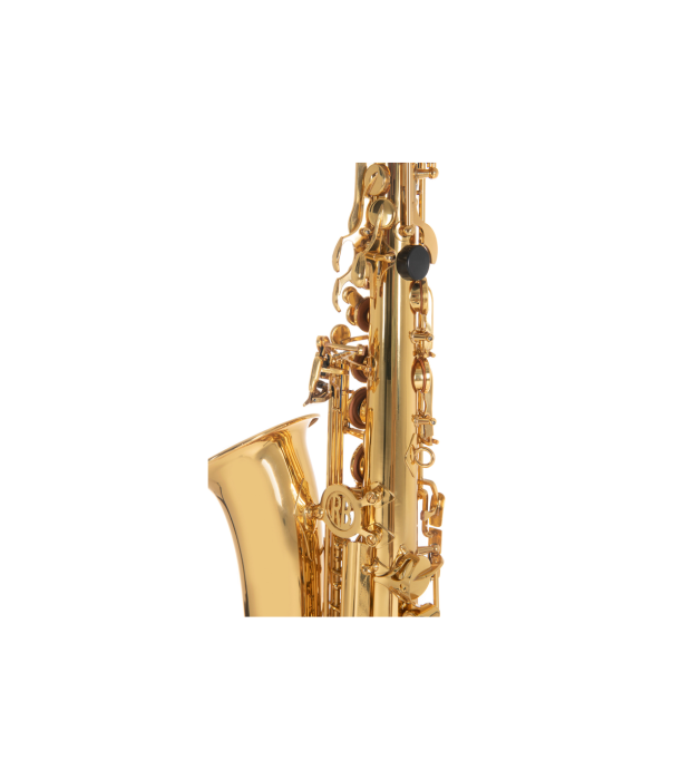 Roy Benson AS-201 Sax Alto [7]