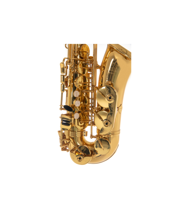 Roy Benson AS-201 Sax Alto [6]
