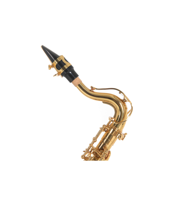 Roy Benson AS-201 Sax Alto [4]
