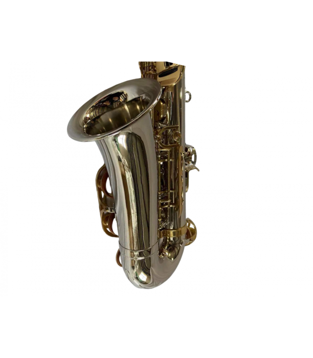 Saxofon Alto Parrot TY820 Reverse Two-Tone Sax Alto [2]