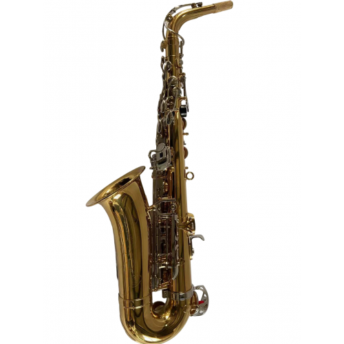 Saxofon Parrot TY810 Two-Tone Sax Alto [2]