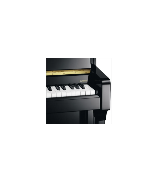Schimmel C116 Tradition Bk [2]