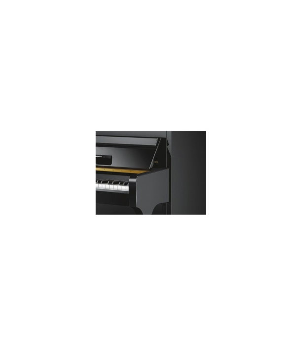 Schimmel W118 Tradition Bk [3]