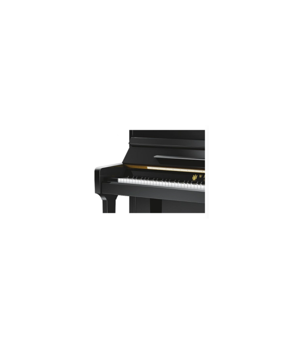 Schimmel W123 Tradition Bk [2]