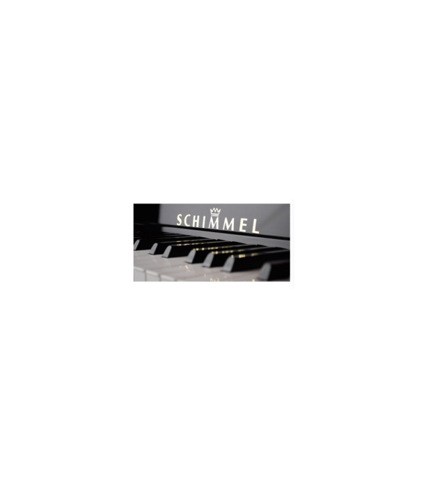 Schimmel W180 Tradition Bk [3]
