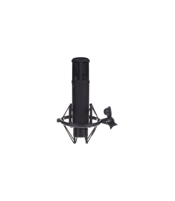 SE Electronics SE 2200 [7]