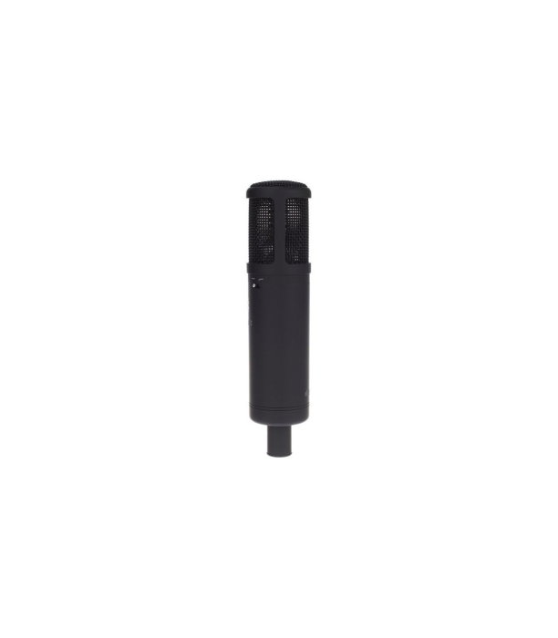 SE Electronics SE 2200 [3]