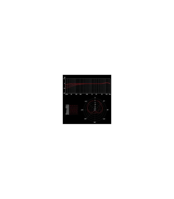 SE Electronics SE 4400A Stereo Set [2]