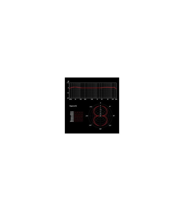 SE Electronics VR1 Voodoo [2]