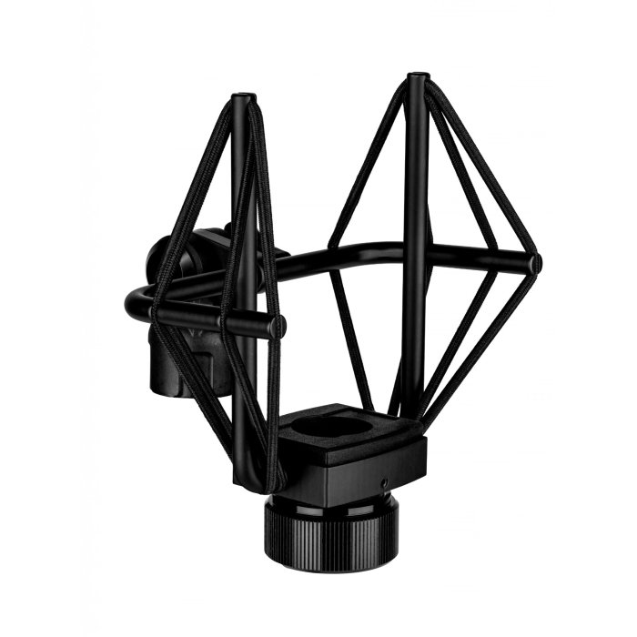 SE Electronics VR2 [10]