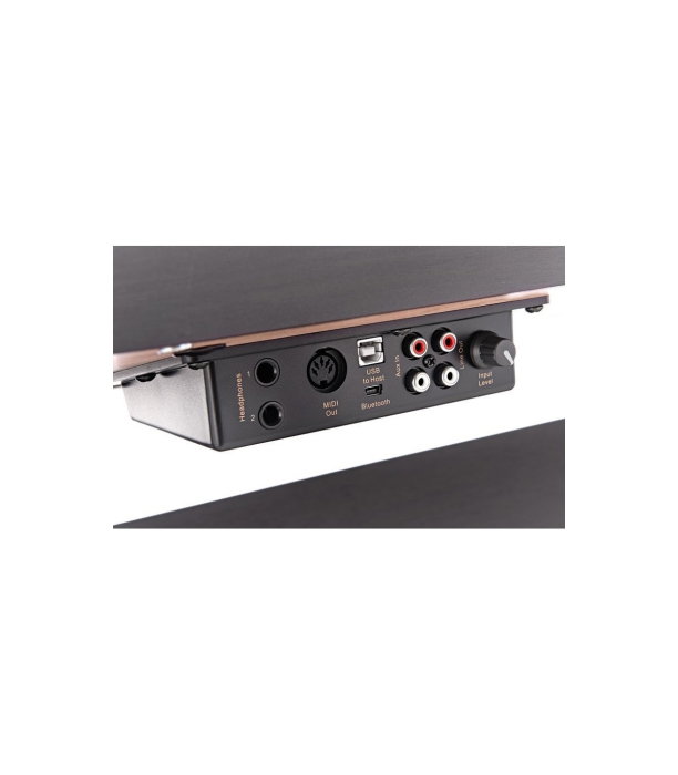Pian digital Hemingway DP-501 MKII RW, rosewood [13]