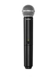 Shure BLX24 / SM58 [3]