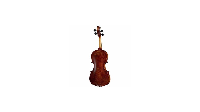 Stentor SR 1880 Arcadia 4/4 [2]