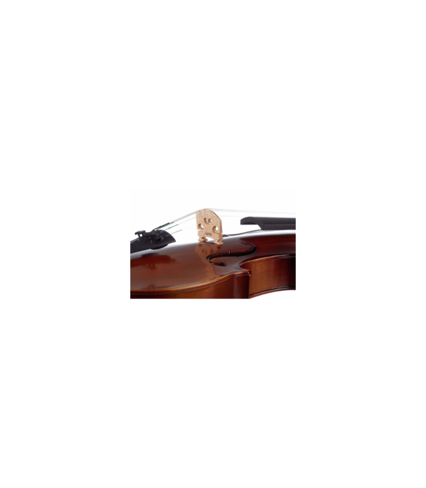 Stentor SR1542 Violin Graduate 4/4 [8]