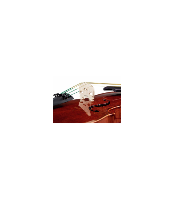 Stentor SR1551 Viola Conservatoire 15" [7]