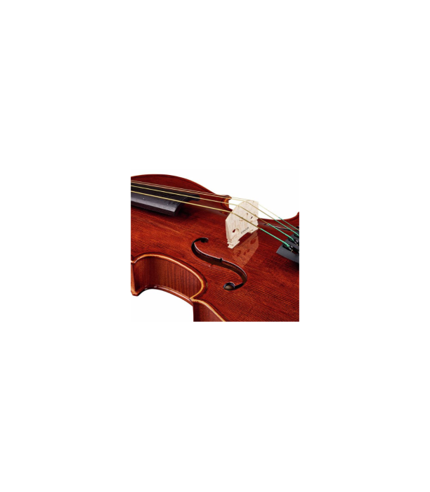 Stentor SR1551 Viola Conservatoire 15" [9]