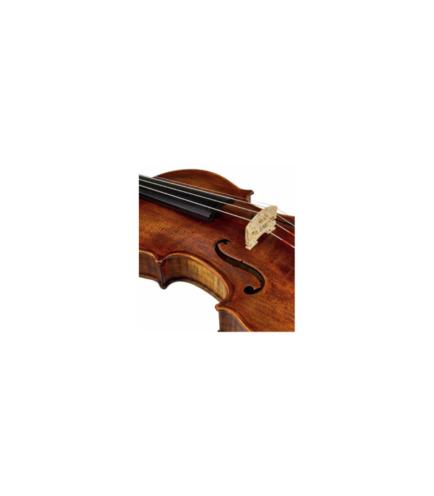 Stentor SR1864 Verona Violin 4/4 [7]