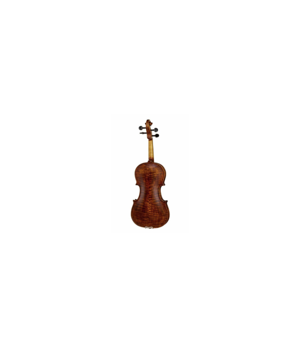 Stentor SR1864 Verona Violin 4/4 [2]