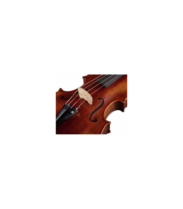 Stentor SR1877 Viola Arcadia 15" [6]