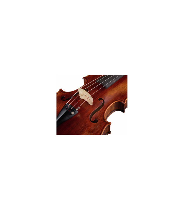 Stentor SR1877 Viola Arcadia 16,5" [6]