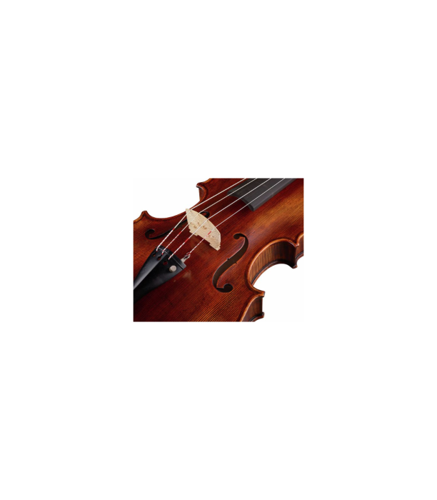 Stentor SR1877 Viola Arcadia 16" [4]