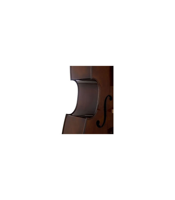 Stentor SR1950 Double Bass Student 3/4 [7]