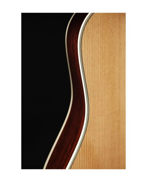 Takamine EF360S-TT - chitară electro-acustică [3]