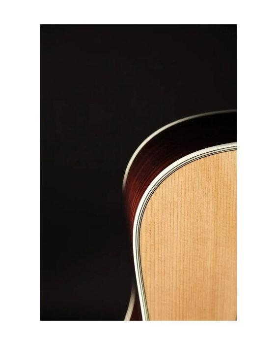Takamine EF360S-TT - chitară electro-acustică [2]