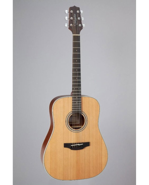 Takamine GD20-NS - chitară acustică [2]