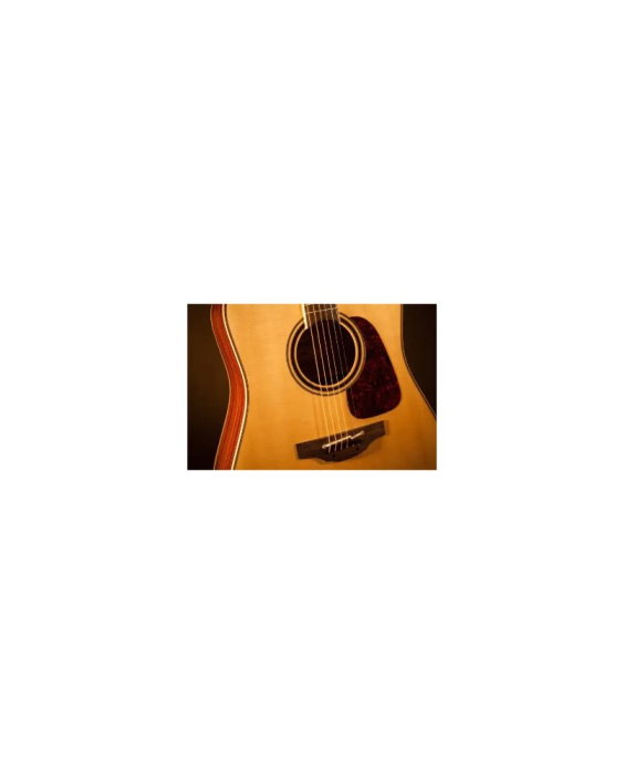 Takamine P4DC Pro Series - chitară electro-acustică [3]