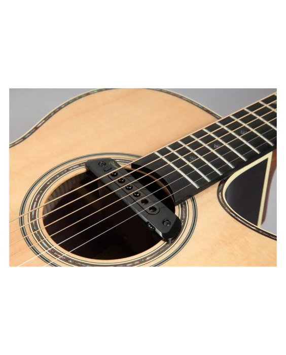 Takamine TRI-AX 2 - doză chitară [2]