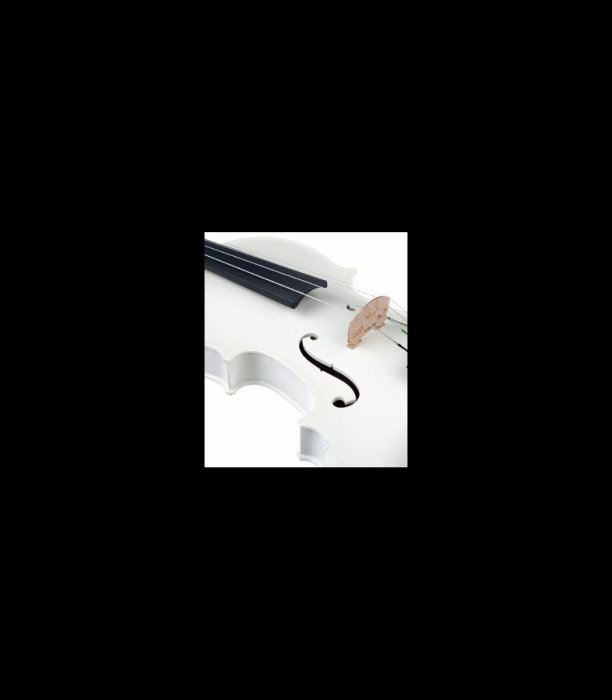 Vioară Stentor SR1401 Harlequin 4/4 WH - Stentor [6]