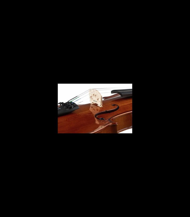 Vioară Stentor SR1500 Violinset 7/8 - Stentor [7]
