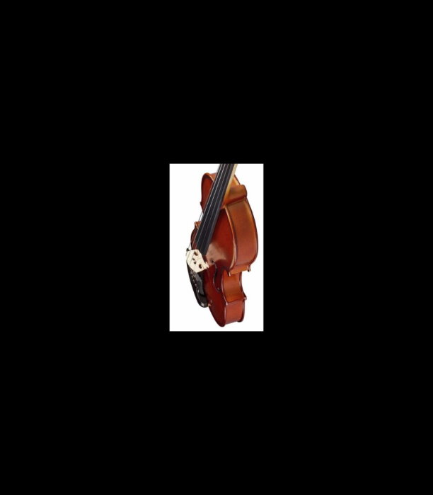 Vioară Stentor SR1542 Violin Graduate 3/4 - Stentor [9]
