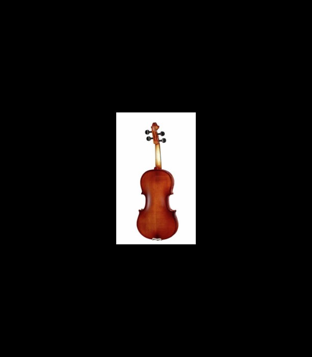 Vioară Stentor SR1542 Violin Graduate 3/4 - Stentor [2]