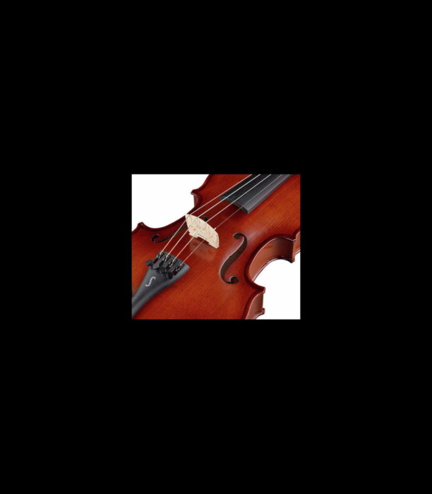 Vioară Stentor SR1542 Violin Graduate 3/4 - Stentor [5]