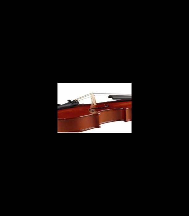 Vioară Stentor SR1542 Violin Graduate 3/4 - Stentor [7]