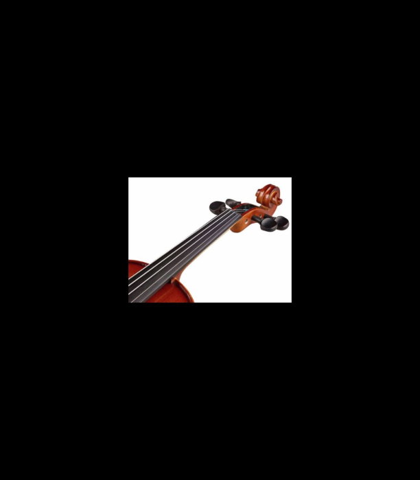 Vioară Stentor SR1542 Violin Graduate 3/4 - Stentor [6]