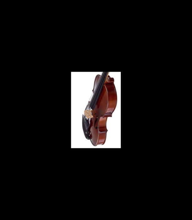 Vioară Stentor SR1542 Violin Graduate 4/4 - Stentor [5]