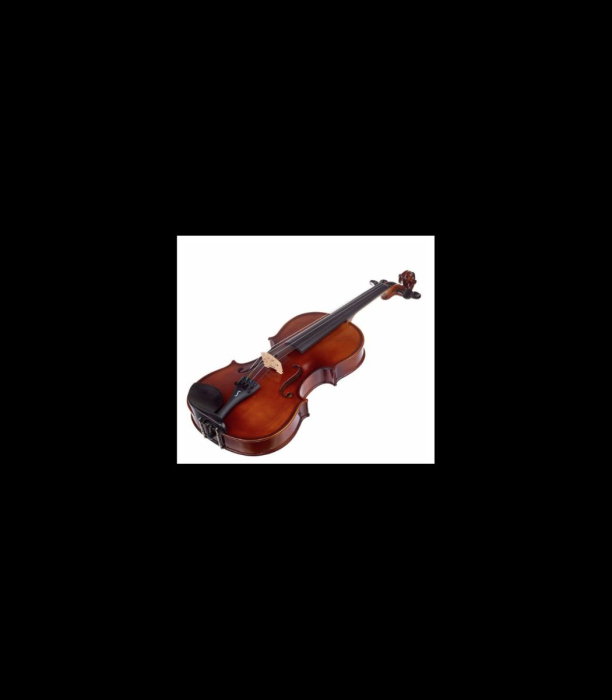 Vioară Stentor SR1542 Violin Graduate 4/4 - Stentor [3]